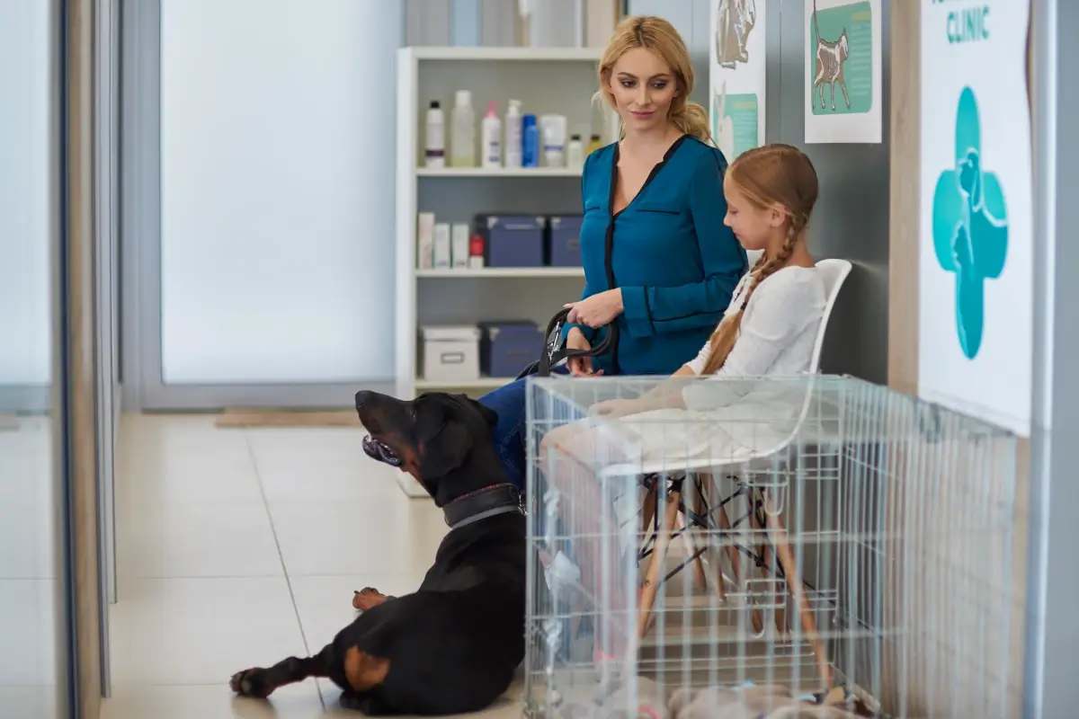 Área de Recepção e Atendimento